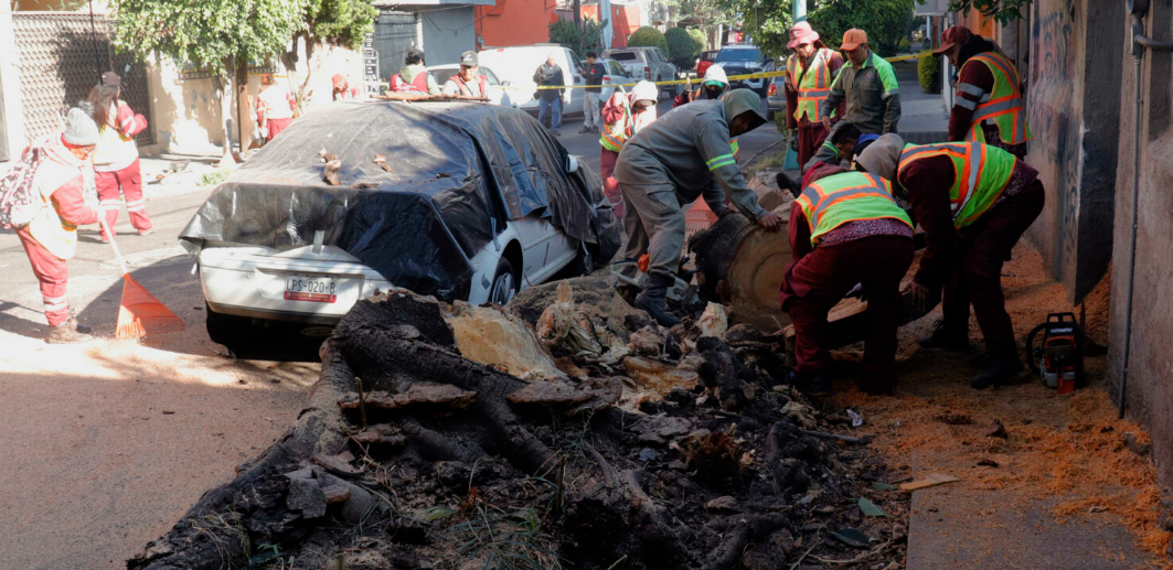 Suben a 24 los municipios afectados en Guerrero por el sismo de magnitud 6.5