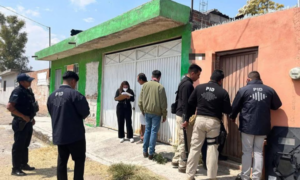 Querétaro bajo el PAN: rescatan 32 perros maltratados y exhiben abandono institucional