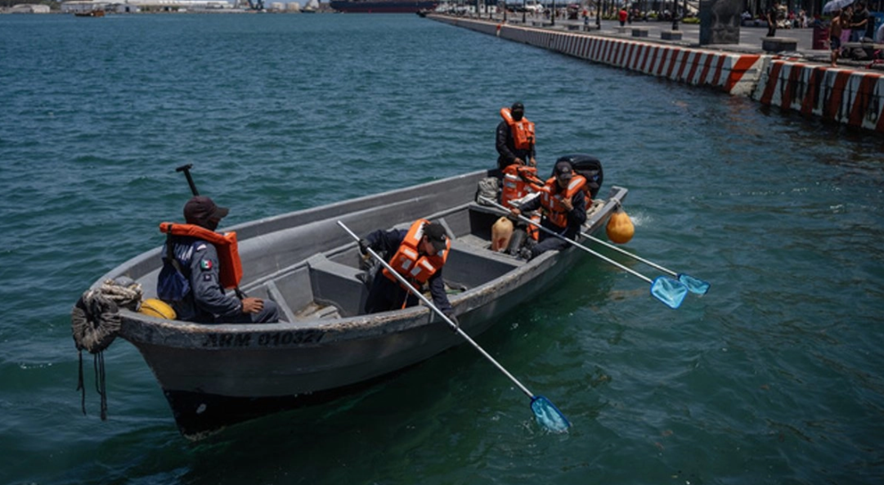 Derrame en el Golfo de México cumple casi un mes sin que se determine su origen