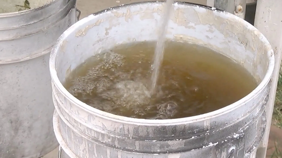 Jalisco enfrenta crisis hídrica bajo Movimiento Ciudadano: agua sucia y cortes constantes