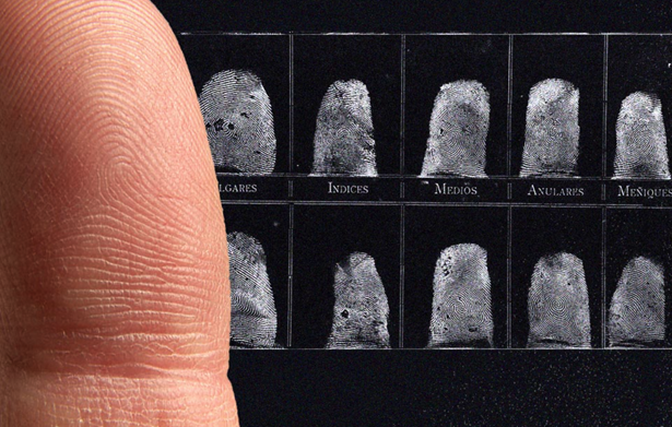 Fraude con huellas dactilares en Jalisco exhibe fallas de seguridad bajo MC