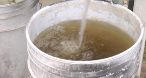 Agua negra y caos vial: estalla la crisis que Movimiento Ciudadano no pudo resolver