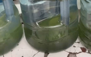 Movimiento Ciudadano admite el fracaso del SIAPA: prefiere dar descuentos que agua de calidad